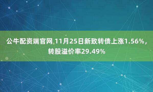 公牛配资端官网 11月25日新致转债上涨1.56%，转股溢价率29.49%