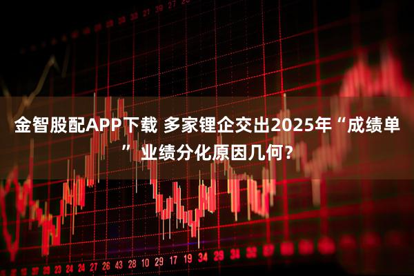 金智股配APP下载 多家锂企交出2025年“成绩单” 业绩分化原因几何?